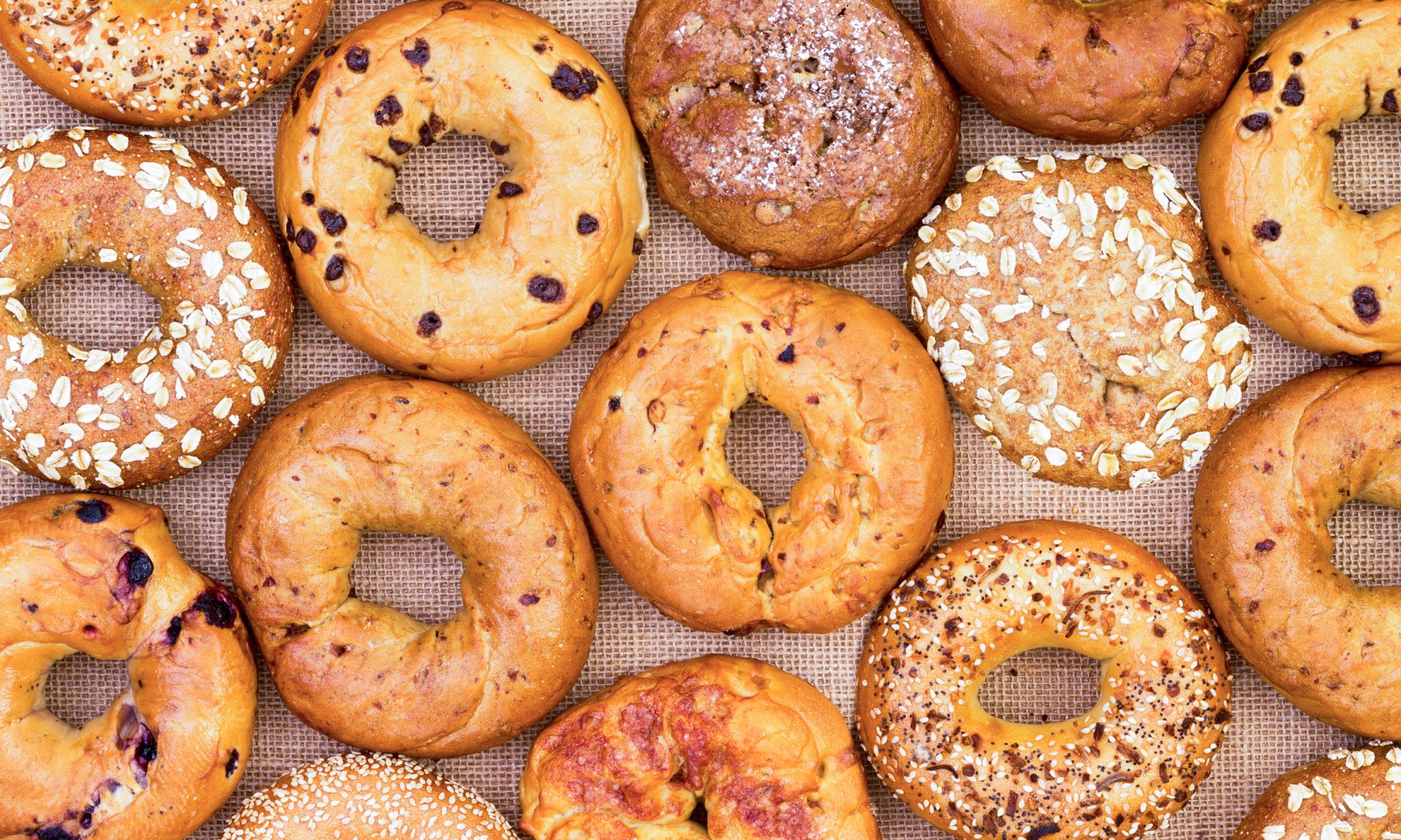 Photo of all different types of bagels on a tray.