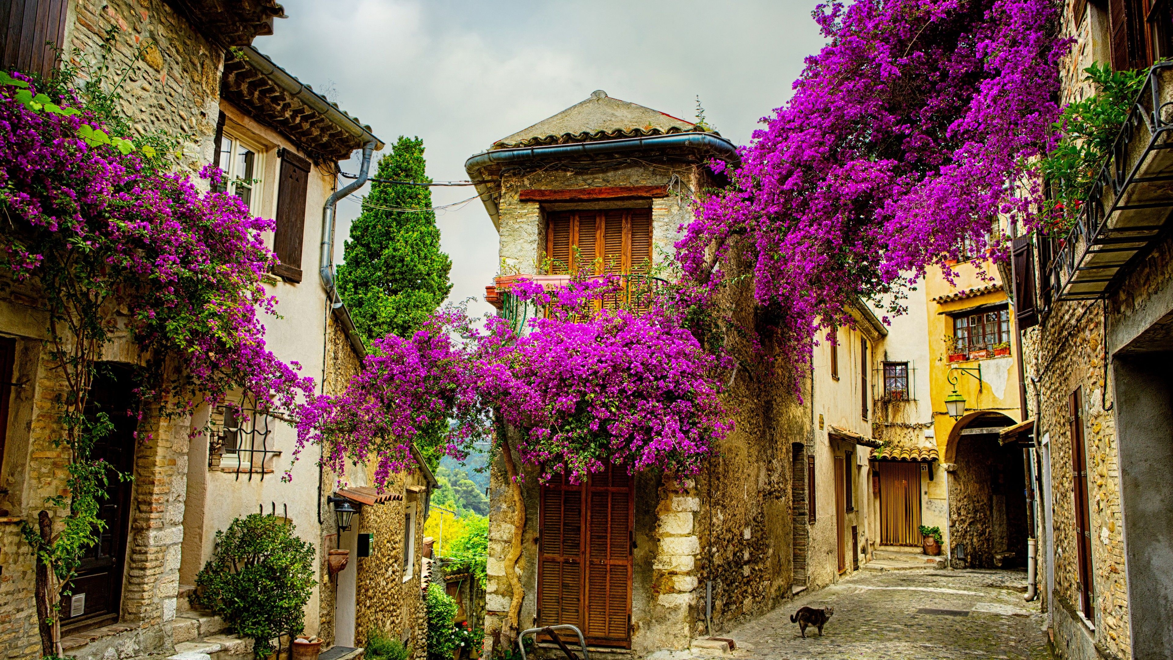Image of an old stone home in Provence, France. 