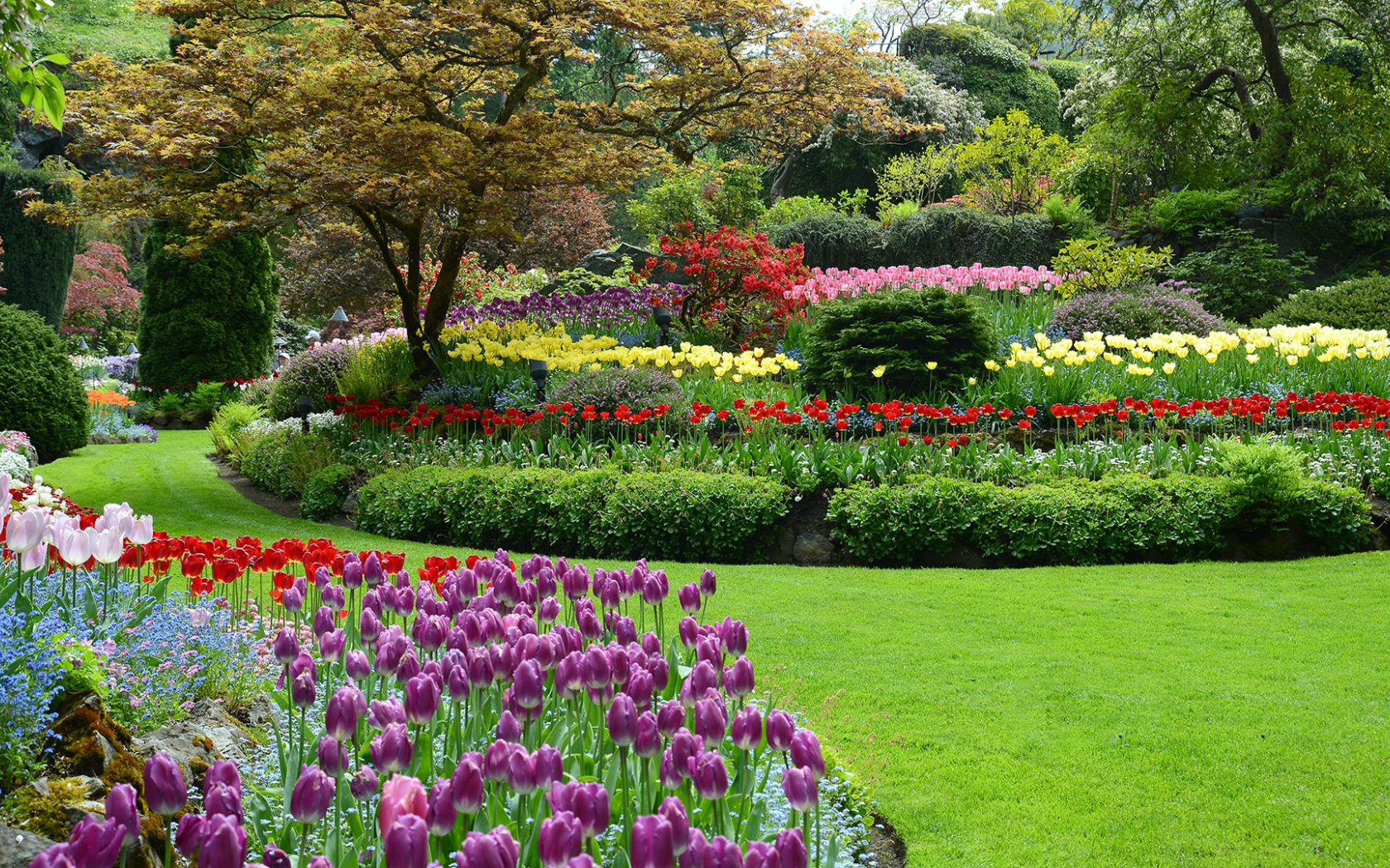 Image of green grass and garden beds filled with colorful spring flowers. 