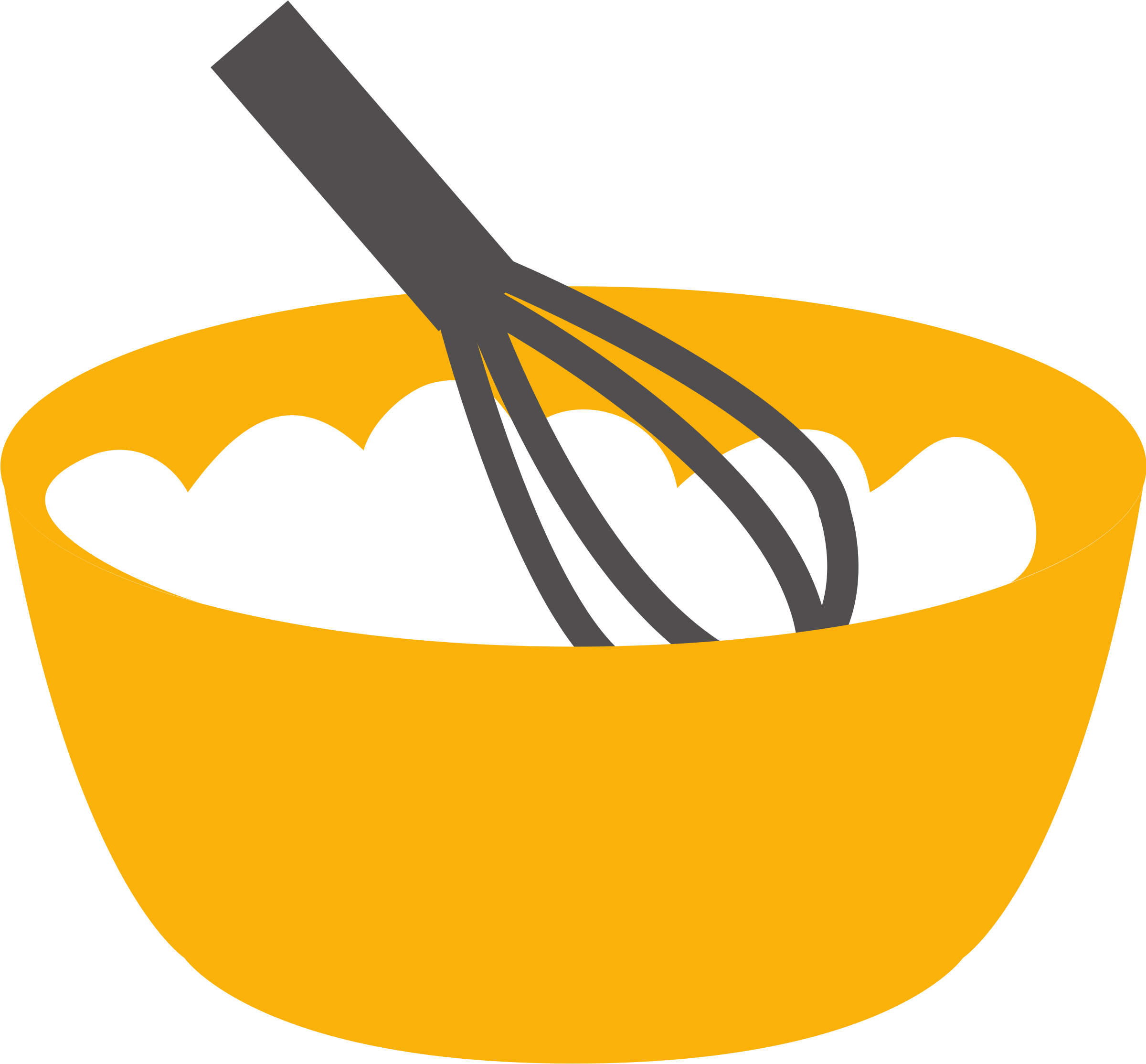 Mixing Bowl and whisk. 