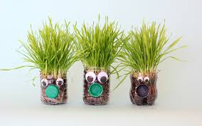 Image of 3 little jar Chia pets. The jars have faces on them and the green of the plant looks like hair standing up.