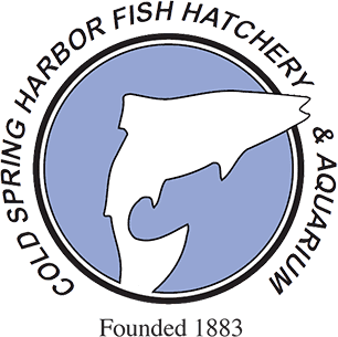 Cold Spring Harbor Fish Hatchery and Aquarium Logo. 