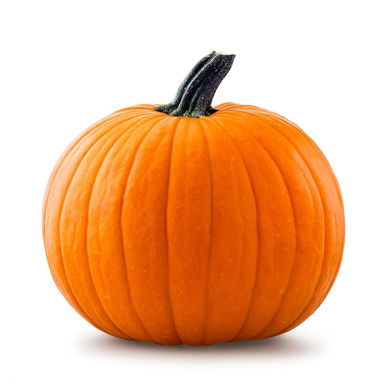 Image of a pumpkin.