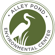 Alley Pond Environmental Center Logo featuring a Crane in profile in a Green circle with the name of the organization written around the circle. 