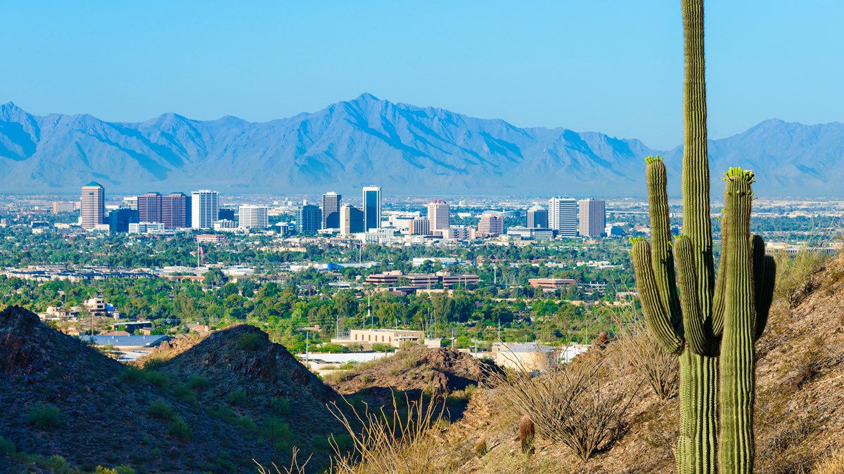Image of Phoenix Arizona desert skyline with cacuts.