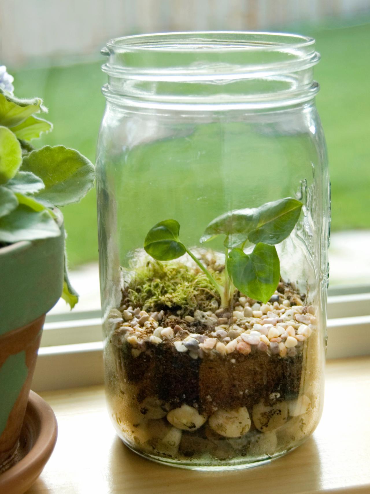Image of a mason jar that has stones, soil and a plant in it. The jar in on a window sill.