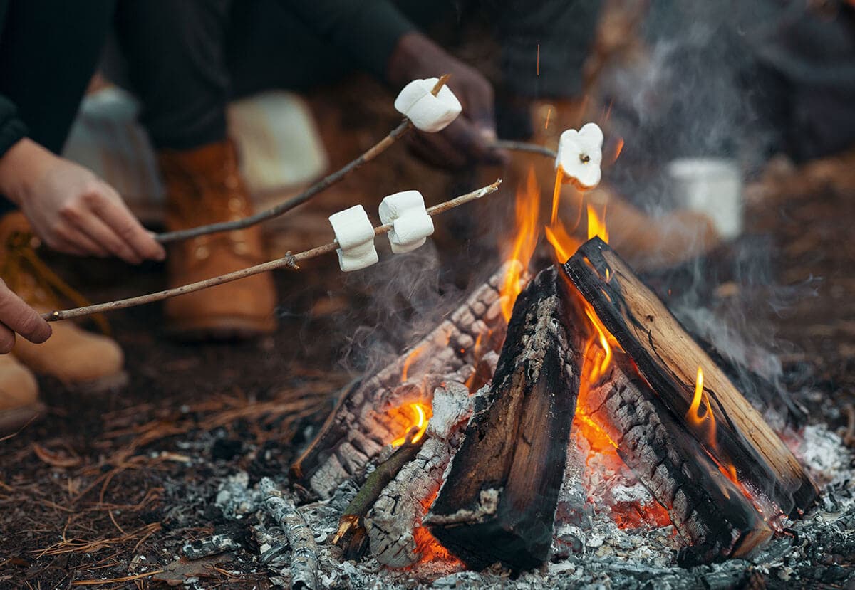 Image of people's hands toasting marshmallows over a lit campfire.