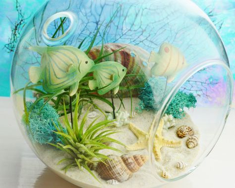 image of a sea terrarium with 3 fake fish stuck in the sand and a few shells and a starfish at the bottom encased in the glass.