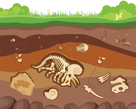 Clipart image of layers of dirt showing bones underneath.