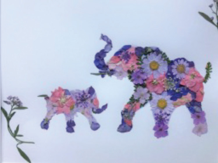 Image of the craft 1 large elephant and 1 small elephant made with colorful dried, pressed flowers. 