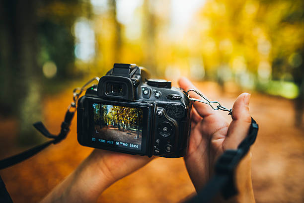 Image of two hand holding a camera in the woods.