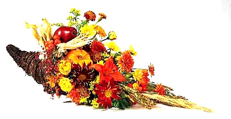 Image of a cornucopia of fresh fall colored flowers.