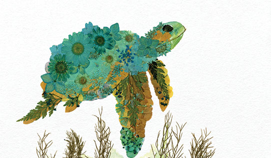 Image of the craft featuring a turtle image made up of small colorful flowers. 