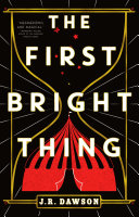 Image for "The First Bright Thing"
