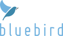 Blue Bird on top left, with the word bluebird directly below.