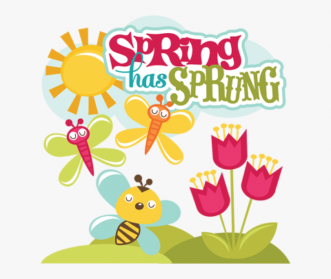 Cartoon like flowers, butterflies, bees and the sun with the words Spring has Sprung spelled out. 