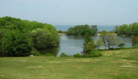 Photo of Caumsett Park area that looks over the water. 