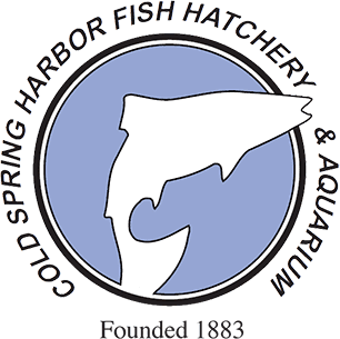 Cold Spring Harbor Fish Hatchery and Aquarium Logo. 