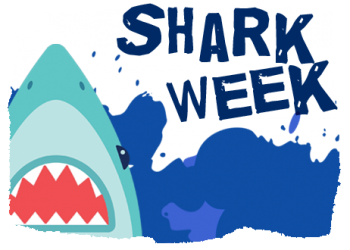 Cartoon picture of a shark's head coming out of the water and the words Shark Week written out. 