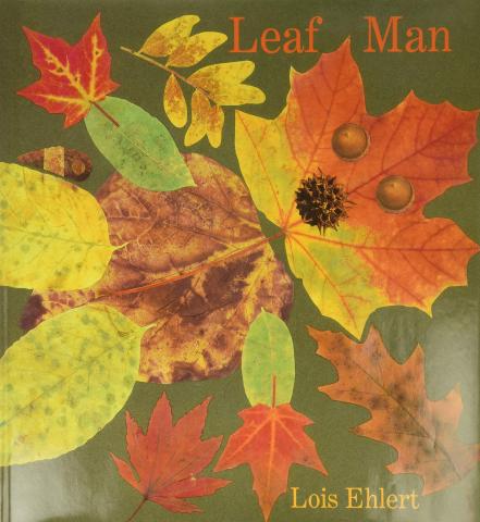 Image of Leaf Man Book Cover. Leaves put together to look like a creature. 