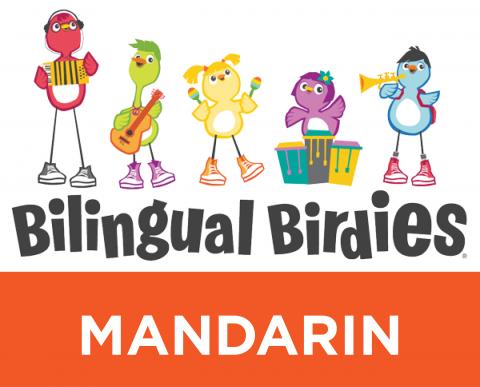 Clipart picture of little birds with instruments and the words "Bilingual Birdies Mandarin" spelled out. 