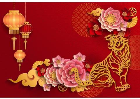 Happy New Year Backdrop Beautiful Chinese Paper-cuts Background Spring Festival Party Decor Holiday Eve Celebration Red Lantern Flowers Cloud Year of The Tiger Banner Props