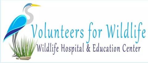 Volunteers for Wildlife Hospital and Education center Logo. Featuring a large long legged bird standing in a patch of grass. 