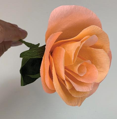 Image of a peach life-like rose made out of crepe paper. 
