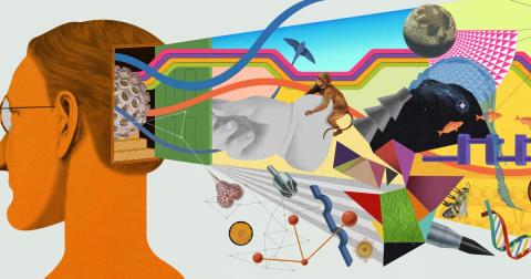 Artistic image of the back of someone's head opening up into sculptures, art tools, fish, space, monkeys, DNA, flies, etc all in vibrant colors.