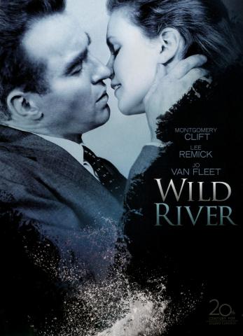 Image of the DVD cover featuring a black and white image of a man and woman embracing about to kiss each other. 