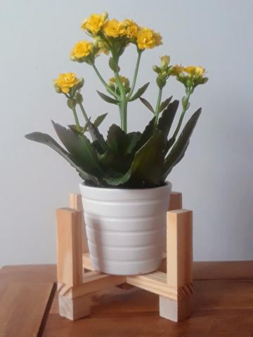 Image of craft. Pieces of wood glued together to create a base for a potted plant