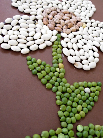 Image of the craft with a flower made of colorful beans glued to a background.