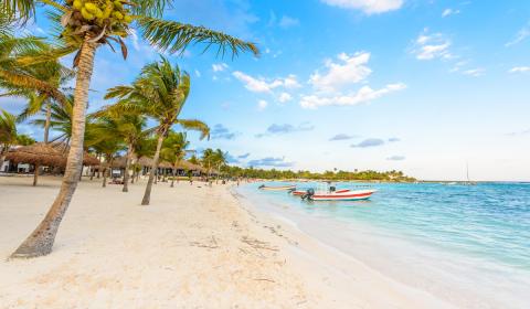Beach with multiple palm trees and small boats in view.