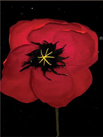 Image of the craft featuring a red poppy made from crepe paper. 