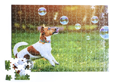 A puzzle that is nearly complete of a dog looking at bubbles in front of a green grass field.