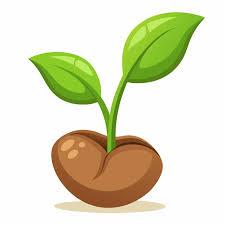 clipart picture os a seed with green leaves coming out of it. 