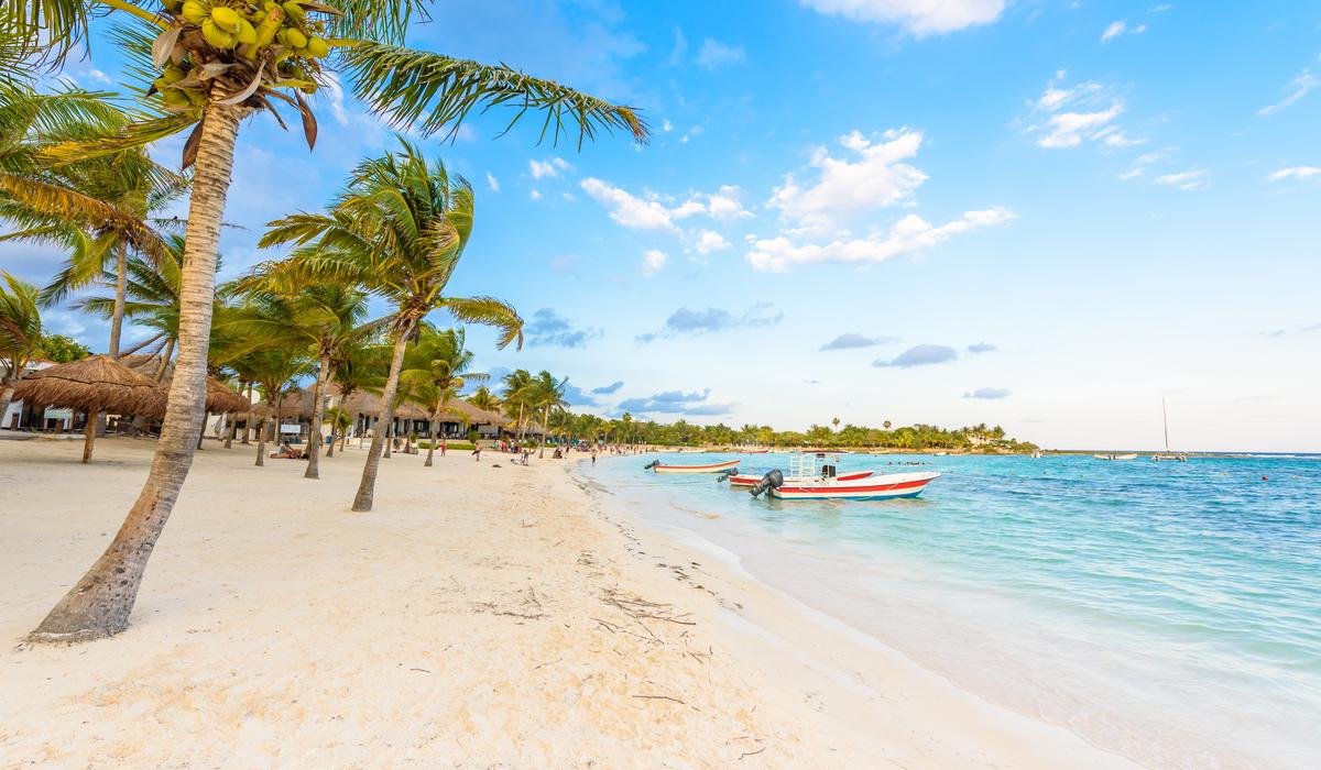 Beach with multiple palm trees and small boats in view.