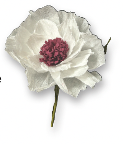 Image of the craft featuring a Butterfly Ranunculus Flower made from crepe paper. 