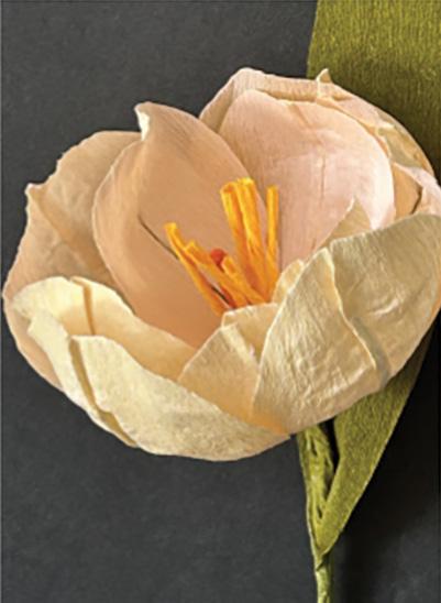 Image of the craft featuring a Double Tulip made out of crepe paper.